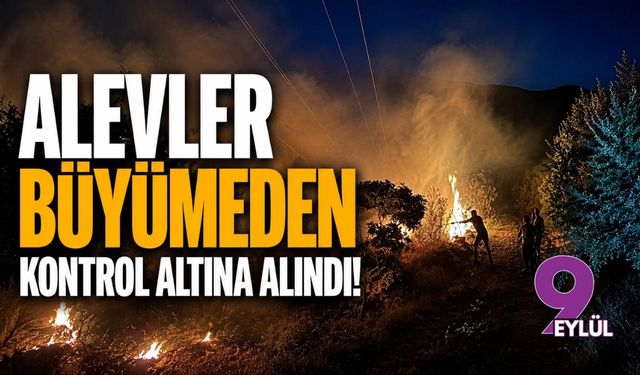 İzmir Ödemiş'te alevler büyümeden kontrol altına alındı!