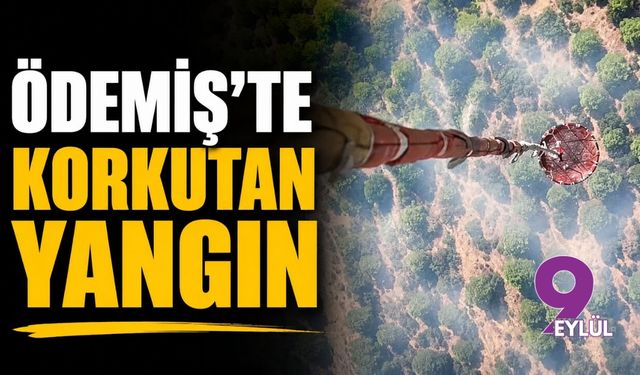Ödemiş'te korkutan yangın