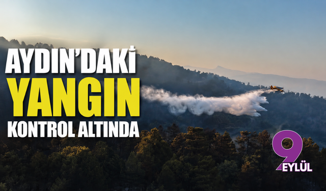 Aydın'daki yangın kontrol altında