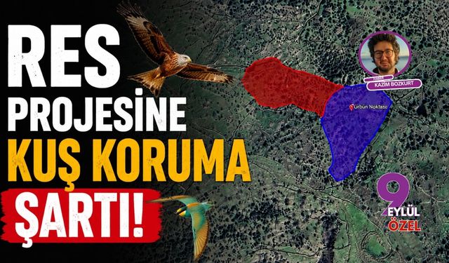 İzmir Aliağa'da RES projesine kuş koruma şartı!