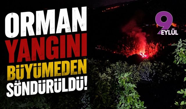 Aydın Bozdoğan'da yangın büyümeden söndürüldü
