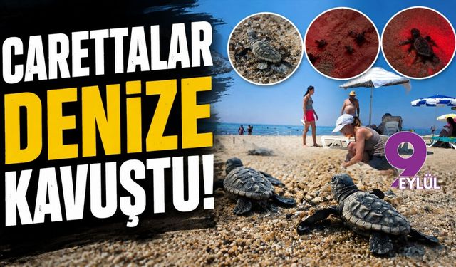 Carettalar denize kavuştu!