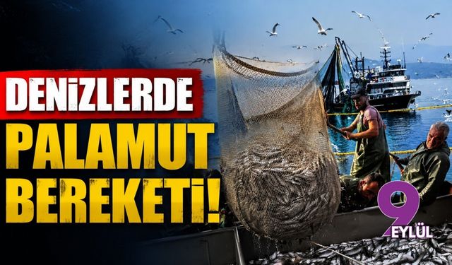 Denizlerde palamut bereketi!