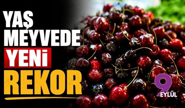 Yaş meyvede yeni rekor