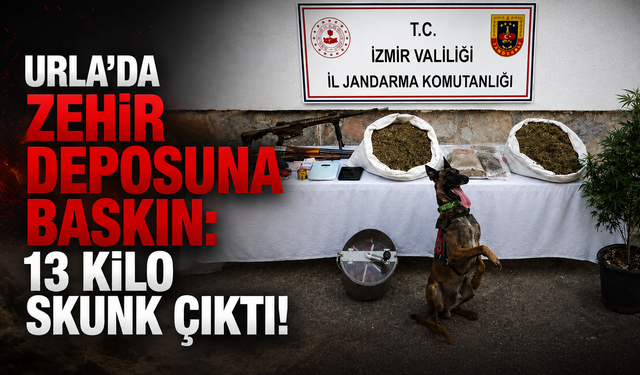 Urla’da zehir deposuna baskın: 13 kilo skunk çıktı!