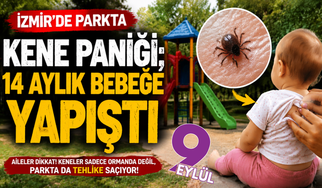 Tire’de parkta korkutan kene vakası: 14 aylık bebeğe yapıştı