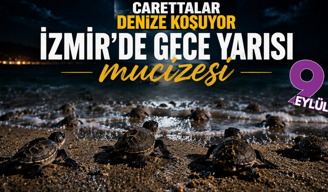 İzmir kıyılarında caretta alarmı