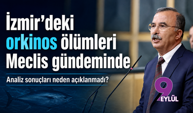 İzmir’deki orkinos ölümleri Meclis gündeminde