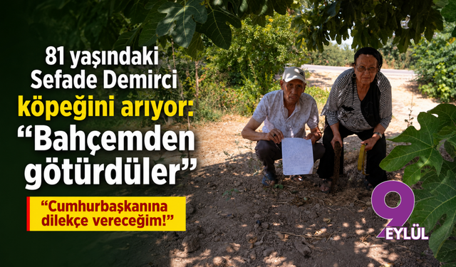 81 yaşındaki Sefade Demirci köpeğini arıyor: Cumhurbaşkanına dilekçe vereceğim!