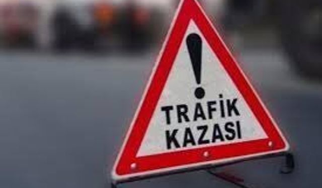 Aydın'da korkunç kaza! Yaşamını yitirdi...
