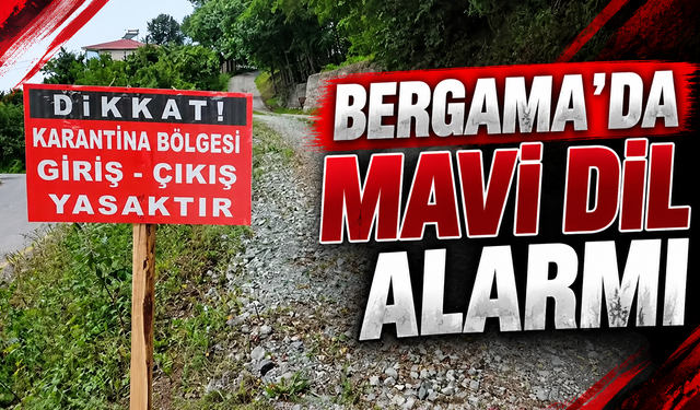 Bergama'da mavi dil alarmı: 15 mahalle 40 gün süreyle karantinaya alındı!