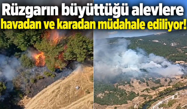 Rüzgarın büyüttüğü alevlere havadan ve karadan müdahale ediliyor!