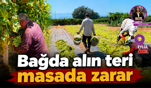 Bağda emek, masada zarar
