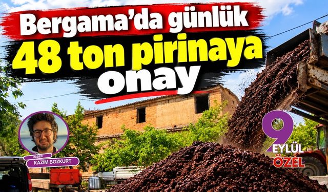 Bergama'da günlük 48 ton pirinaya onay