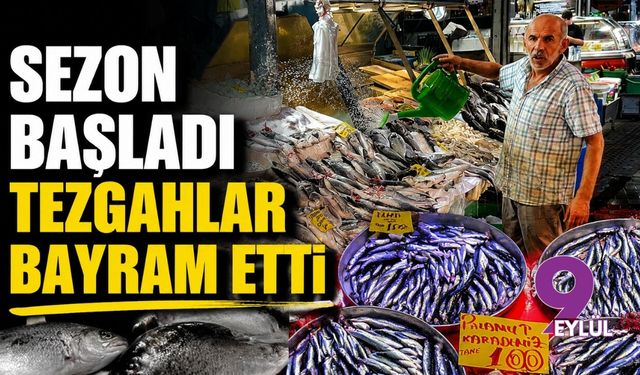 Sezon başladı tezgahlar bayram etti