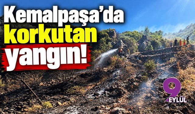 Kemalpaşa'da korkutan yangın!