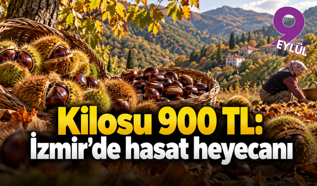 Kestanenin kilosu 900 liraya çıktı: Gözler İzmir ve Aydın'da