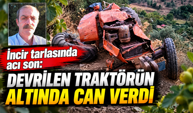 İncir tarlasında acı son: Devrilen traktörün altında can verdi
