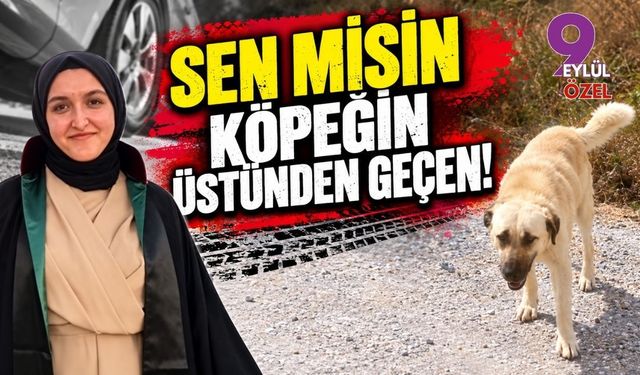 SEN MİSİN KÖPEĞİN ÜSTÜNDEN GEÇEN!