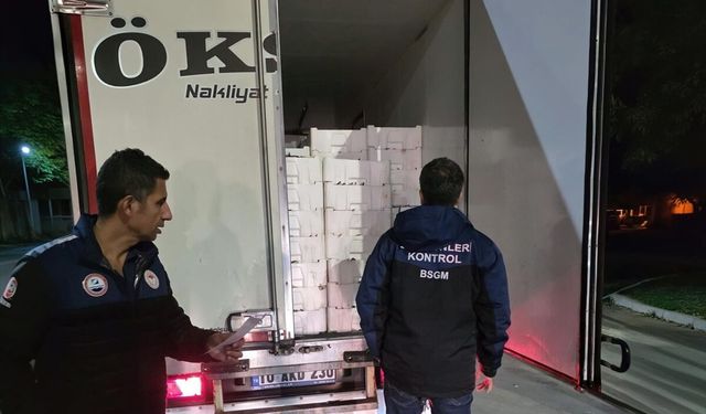 Yasadışı avlanan deniz canlılarına el konuldu