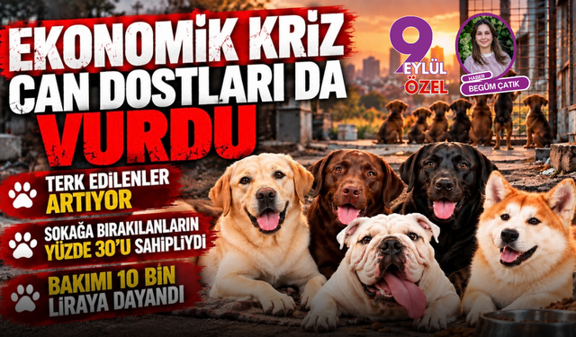 Ekonomik kriz can dostları da vurdu!