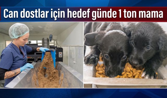 Can dostlar için hedef günde 1 ton mama
