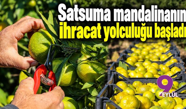 Satsuma mandalinanın ihracat yolculuğu başladı