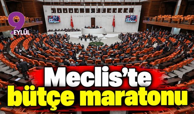 Meclis'te bütçe maratonu