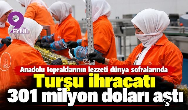 Turşu ihracatı 301 milyon doları aştı