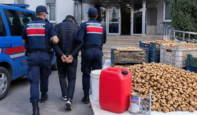 Pes artık! 3 ton inciri lavabo açıcıyla beyazlatmışlar!