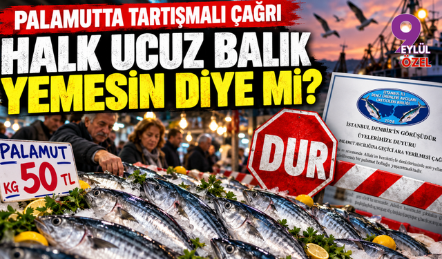 Halk ucuz balık yemesin diye avı durdurma çağrısı!