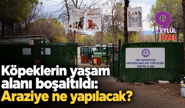Köpeklerin yaşam alanı boşaltıldı: Araziye ne yapılacak?