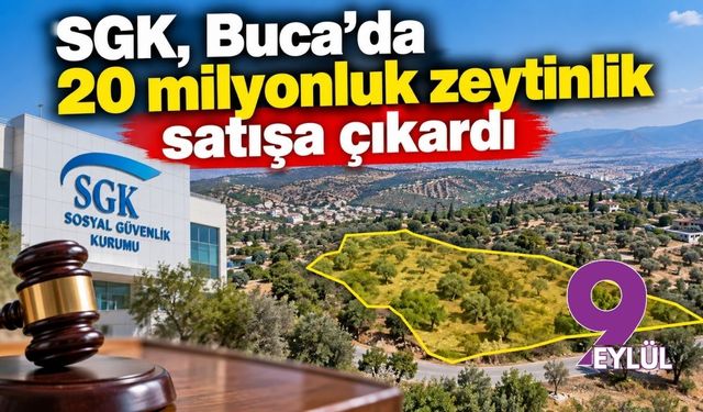SGK, Buca’da 20 milyonluk zeytinlik satışa çıkardı
