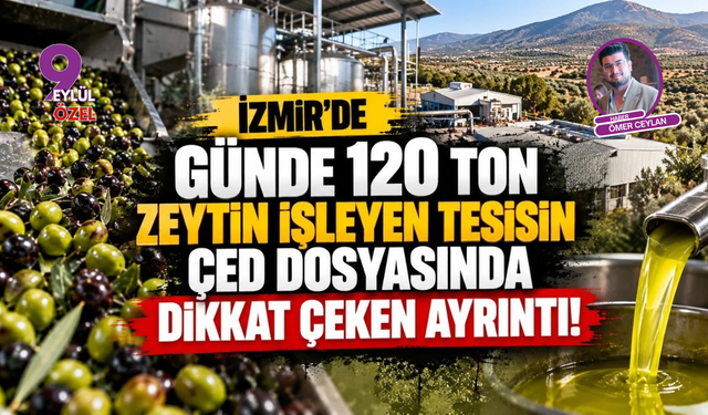 İzmir'de günde 120 ton zeytin işleyen tesisin ÇED dosyasında dikkat çeken ayrıntı!