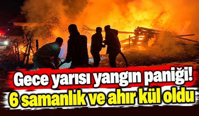 Gece yarısı yangın paniği! 6 samanlık ve ahır kül oldu