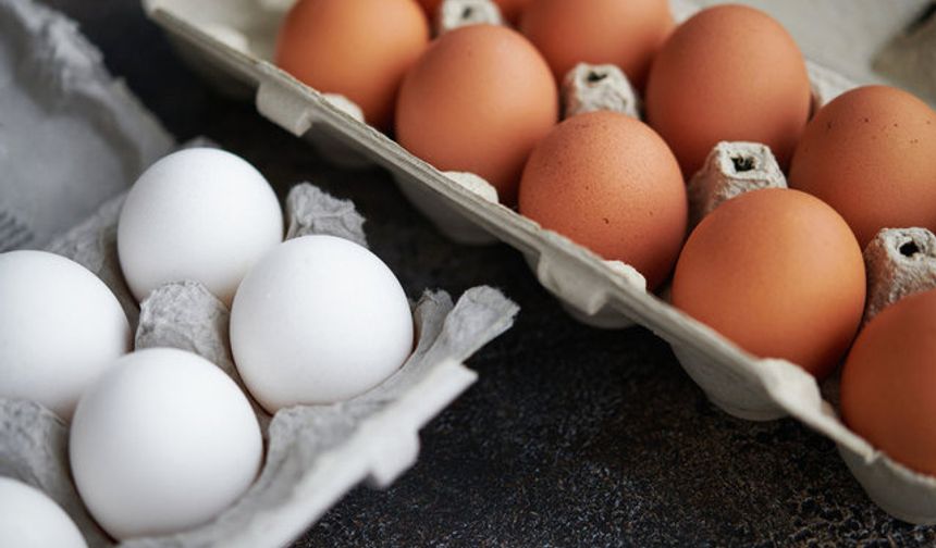 Yumurta neden beyaz ve kahverengi olur?