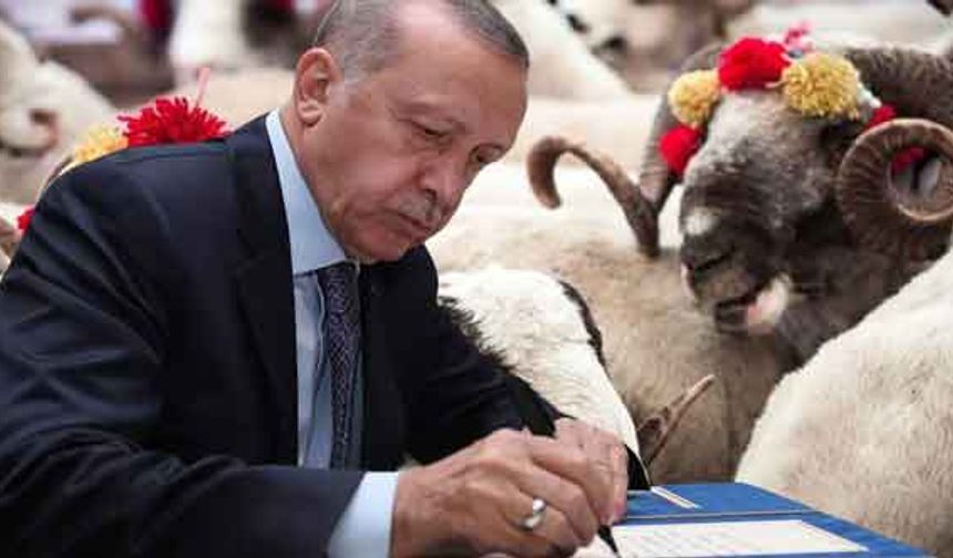 Erdoğan'dan bayram müjdeleri