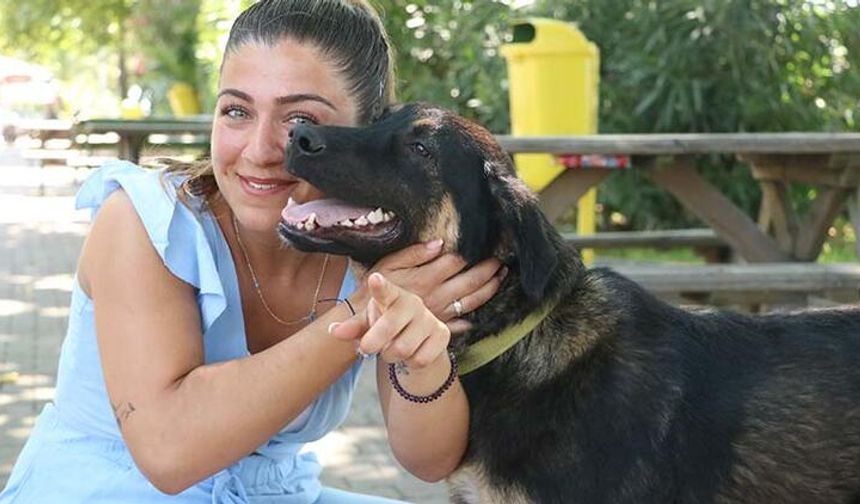 Sokak köpeğiydi artık Almanyalı