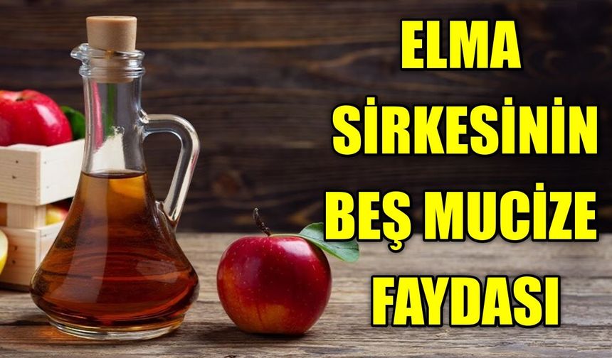Saadet Partisi, yerel seçime hangi parti ile girecek? Kaya, açıkladı!