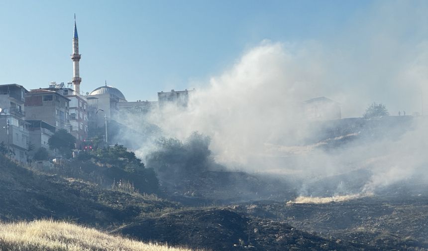 Karşıyaka'da otluk alandaki yangın söndürüldü