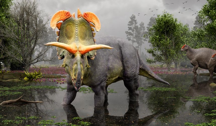 Yeni Dinozor Türü Keşfedildi: Fil Büyüklüğünde ve Keskin Boynuzlu