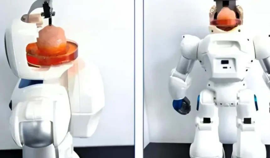 Çinli Bilim İnsanları, İnsan Kök Hücreleriyle Geliştirilen Yapay Beyin Kullanan Robot Üretti