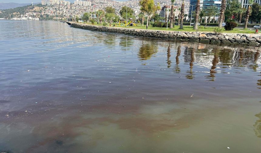 'Körfezi'deki kirlilik, sediment yapısını da bozdu'