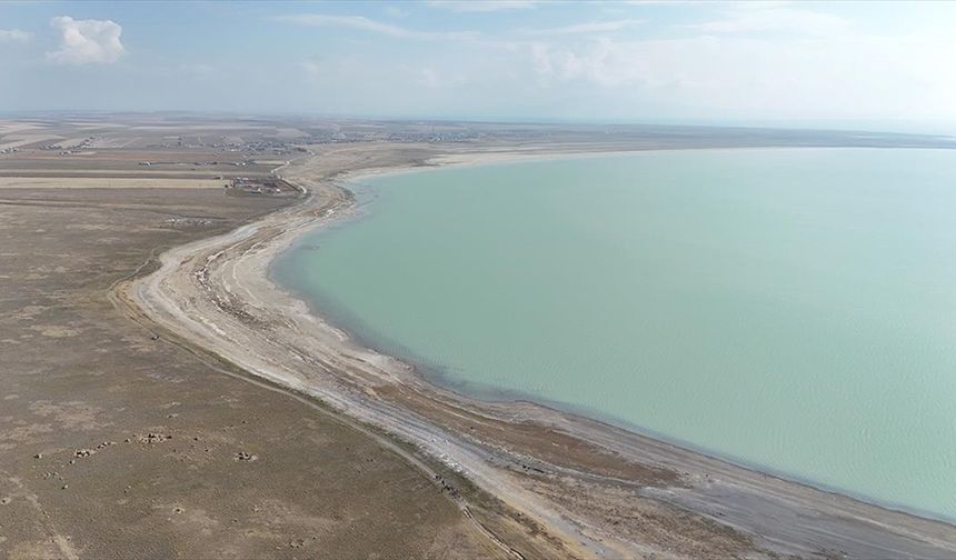 Kuraklık ve çevre temizliği için yürüyüş etkinliği