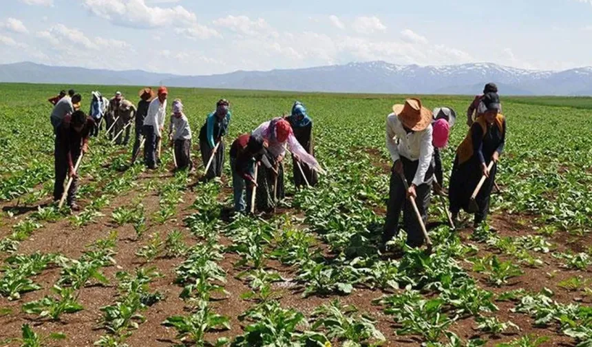 Mevsimlik tarım işçilerine 25 milyon lira destek