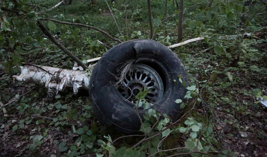 Moskova bölgesinde hafif motorlu uçağın düşmesi sonucu 2 kişi öldü