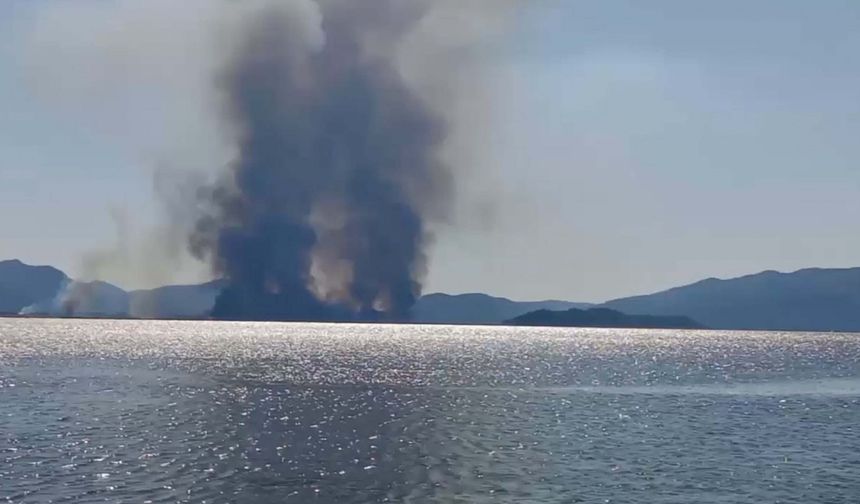 Köyceğiz Gölü'ndeki sazlık alanda yangın