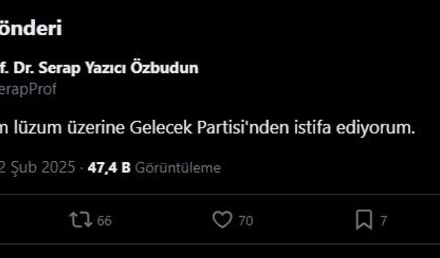 Serap Yazıcı Özbudun, Gelecek Partisi'nden istifa etti