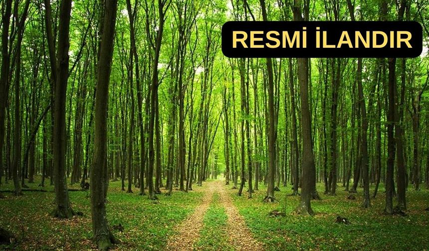 Bergama İşletme Müdürü arazi hazırlığı için ihaleye çıkıyor