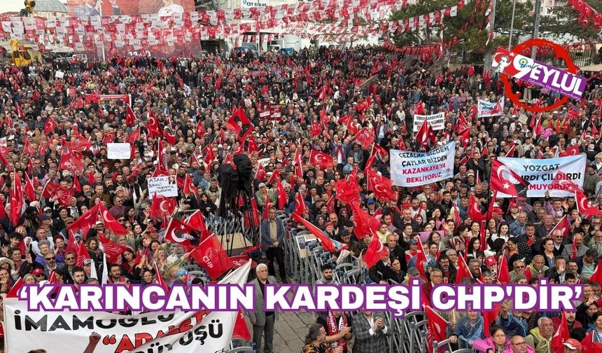 "Karıncanın kardeşi CHP'dir"